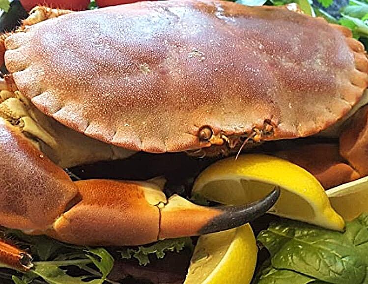 Mersea Seafood Company at Bonners Barn · Photos 8