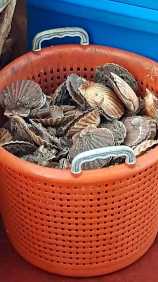 Mersea Seafood Company at Bonners Barn · Photos 10